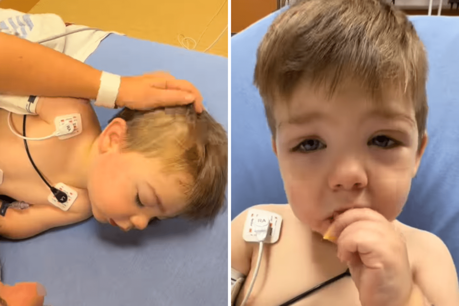 Swift Action Saves Toddler from Severe Allergic Reaction to Fire Ants