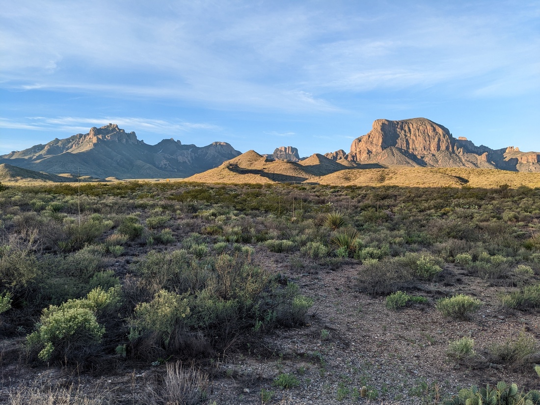 Efforts to Preserve the Endangered Guadalupe Fescue