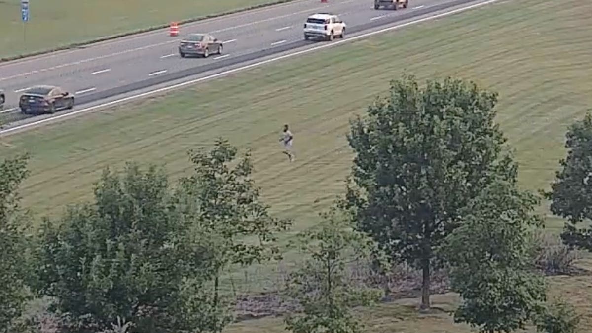 Ohio Shoplifting Suspect Jumps on Car During Police Chase