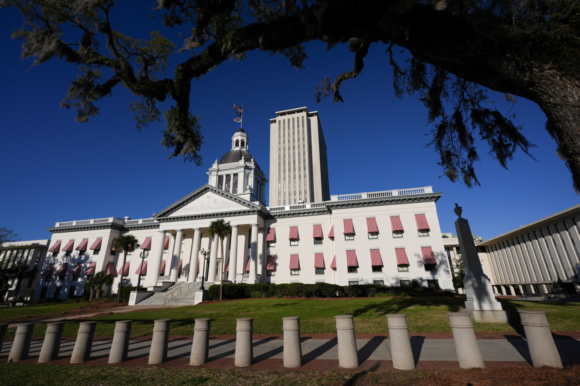 Florida Primary Election and Congressional Districts Update
