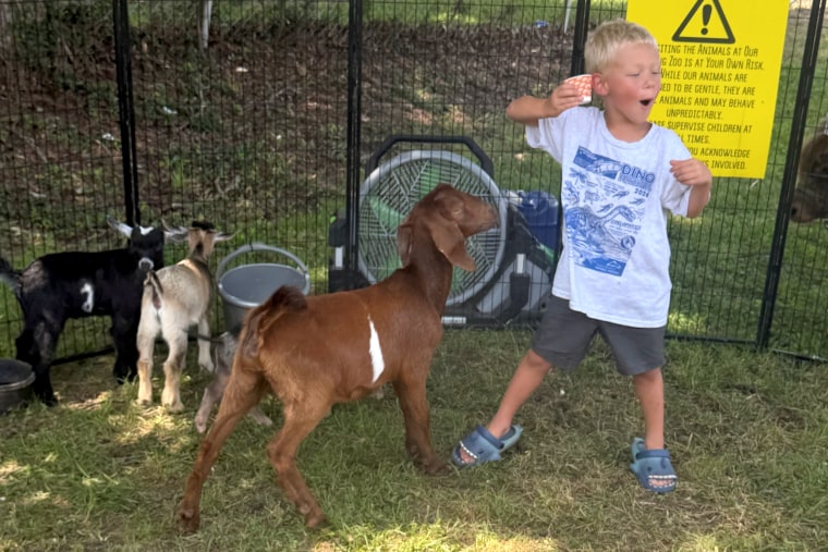 Family Outing Leads to Rabies Scare for Young Child