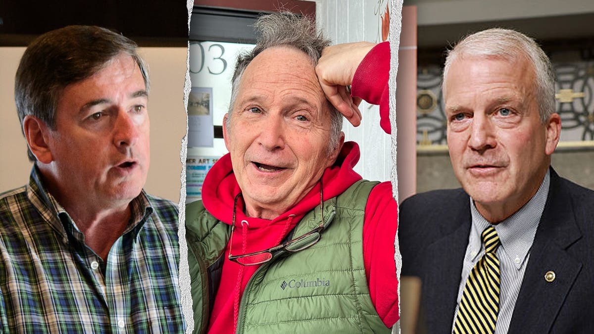 Alaska’s Senate Race: A Battle of the Dan Sullivans