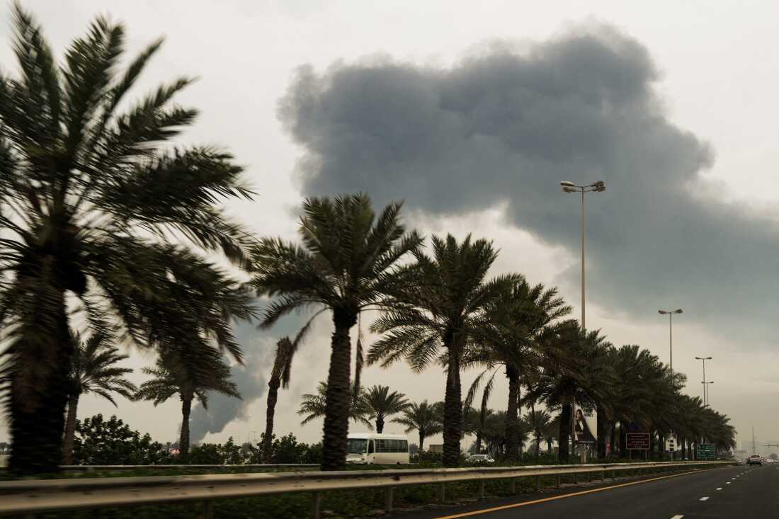 Impact of Iranian Strikes on Military Families and Pets in Bahrain