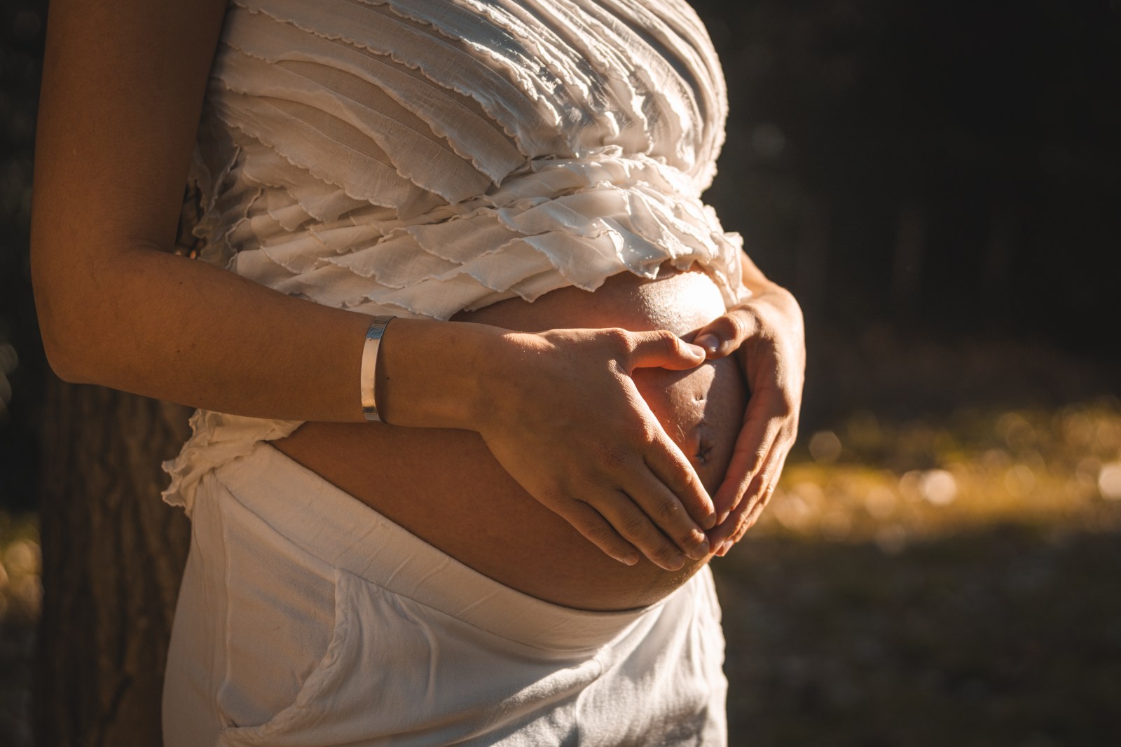 Legal Battle Over Alaskan Surrogate and Californian Couple Raises Questions of Parental Rights