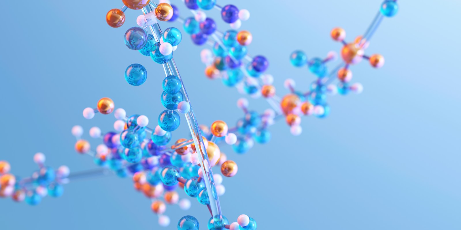Arginine’s Vital Role in Immune Response and Disease Prevention