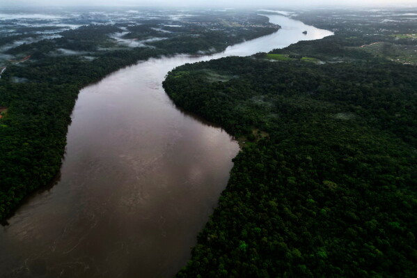 Brazil’s Supreme Court Decision Challenges Soy Moratorium