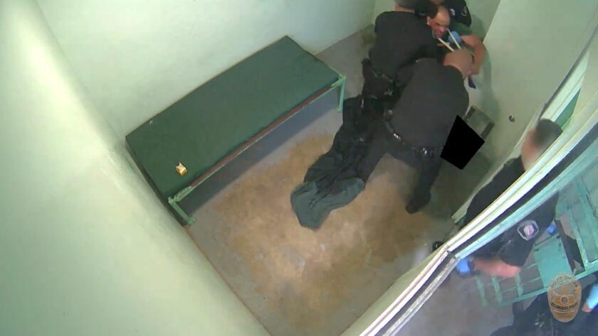 LAPD Releases Footage of Incidents Leading to Two In-Custody Deaths