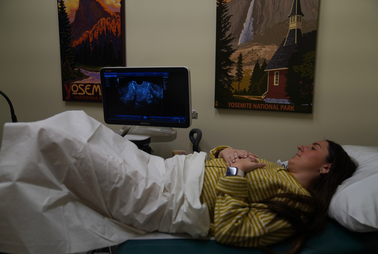 Understanding IVF Costs and Shared Risk Programs
