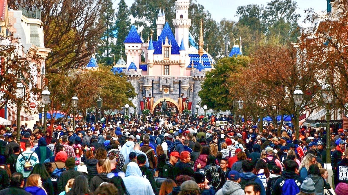 Disney and New Union Clash Over First Contract Negotiations at Disneyland