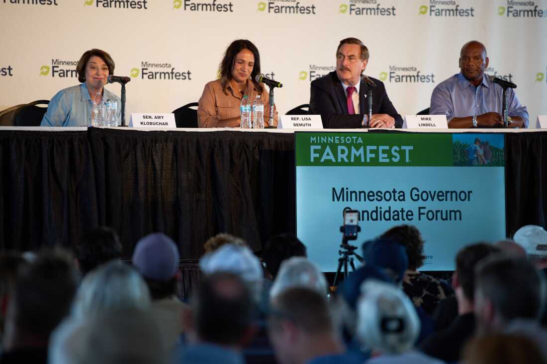 Minnesota House Speaker Lisa Demuth Wins Republican Primary