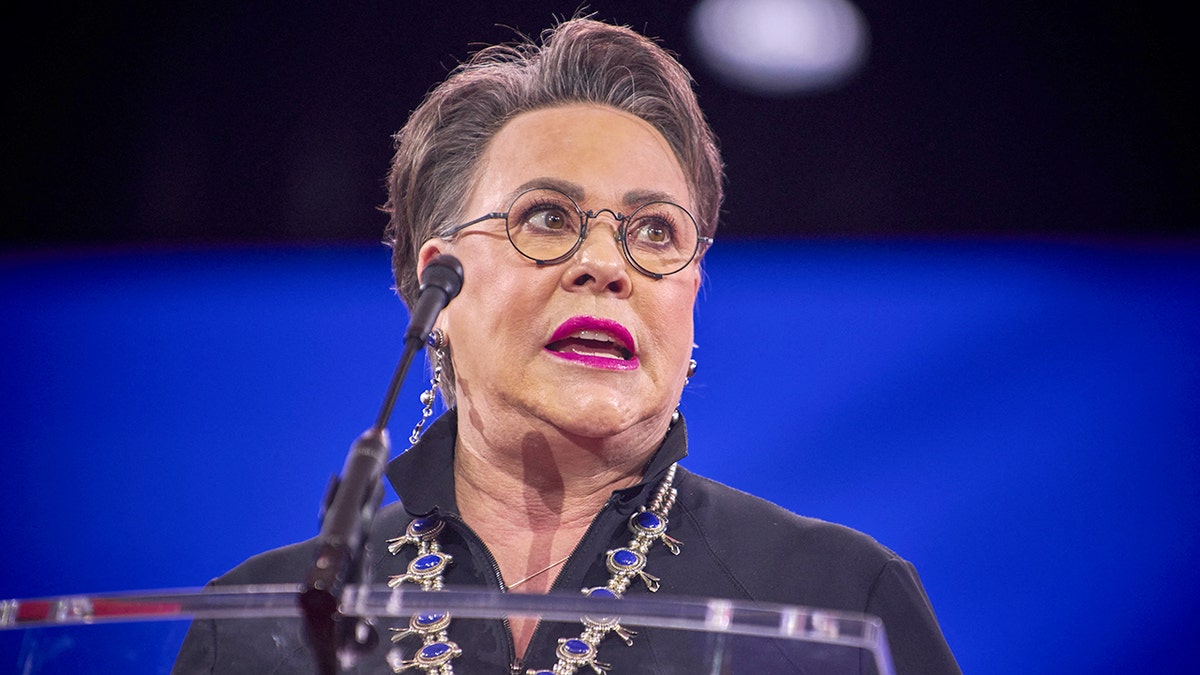 2026 Midterm Elections: Key Races and Political Dynamics