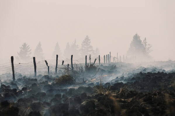 Europe’s Wildfires Reveal Buried WWI and WWII Explosive Threats