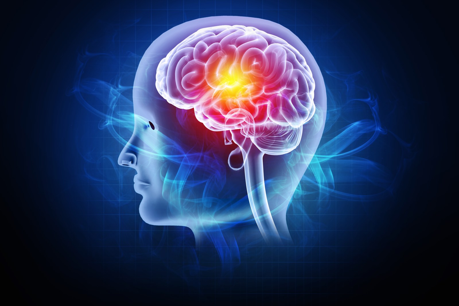 Exercise and Brain Health: Insights and Recommendations
