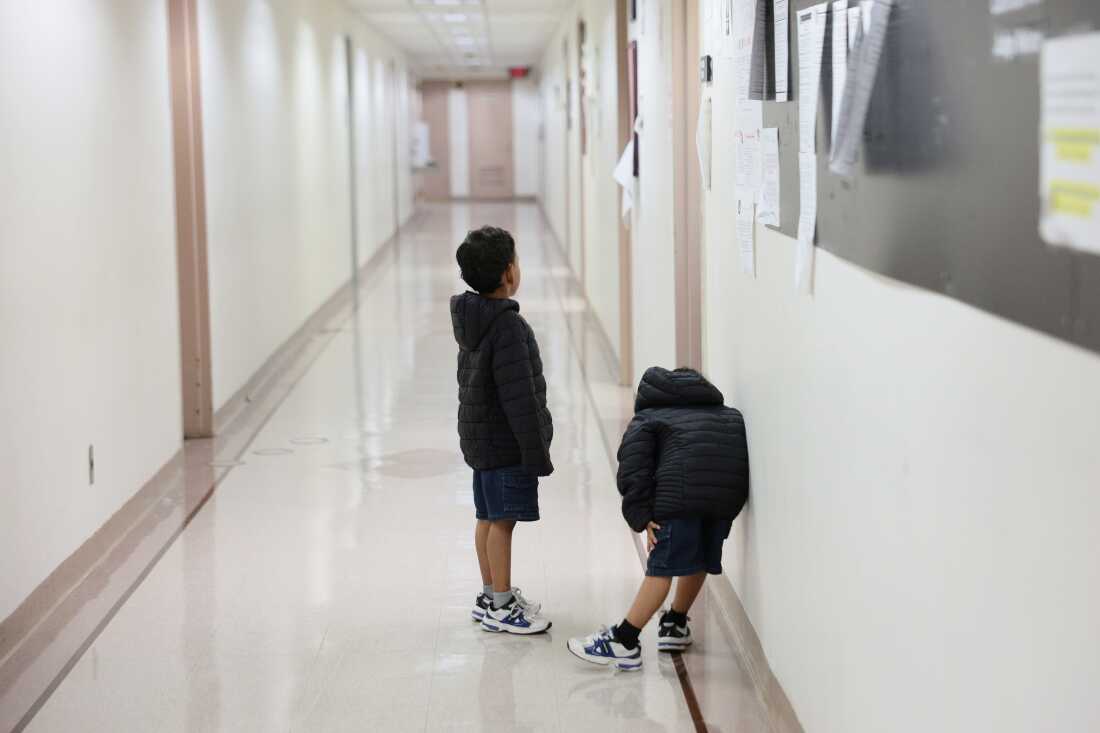 Immigrant Children Facing Legal Challenges