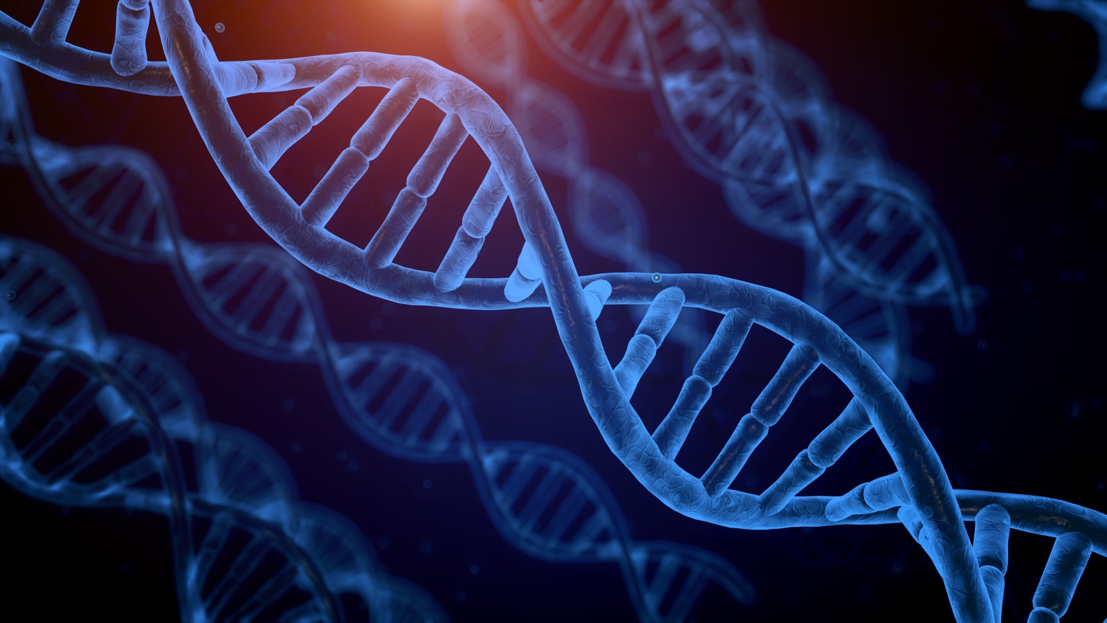 Gene Continues to Influence Stress and Metabolism Into Adulthood