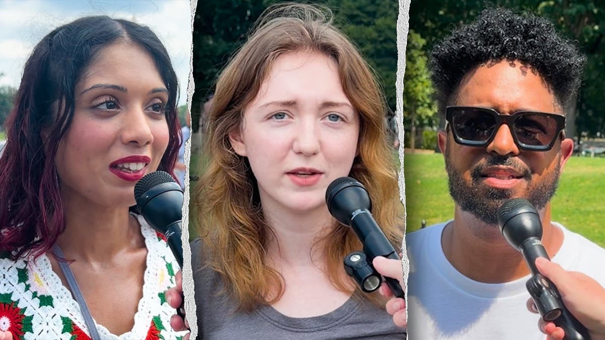 Attendees at March on Washington Rally for Political Change
