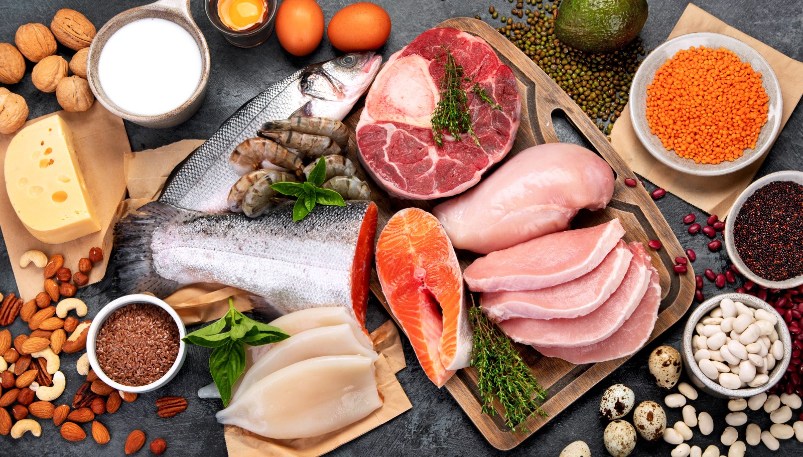 The Impact of High-Protein Diets on Aging and Health