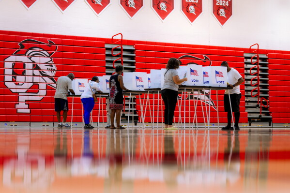 Increased Democratic Primary Turnout Sparks Optimism Ahead of Midterms