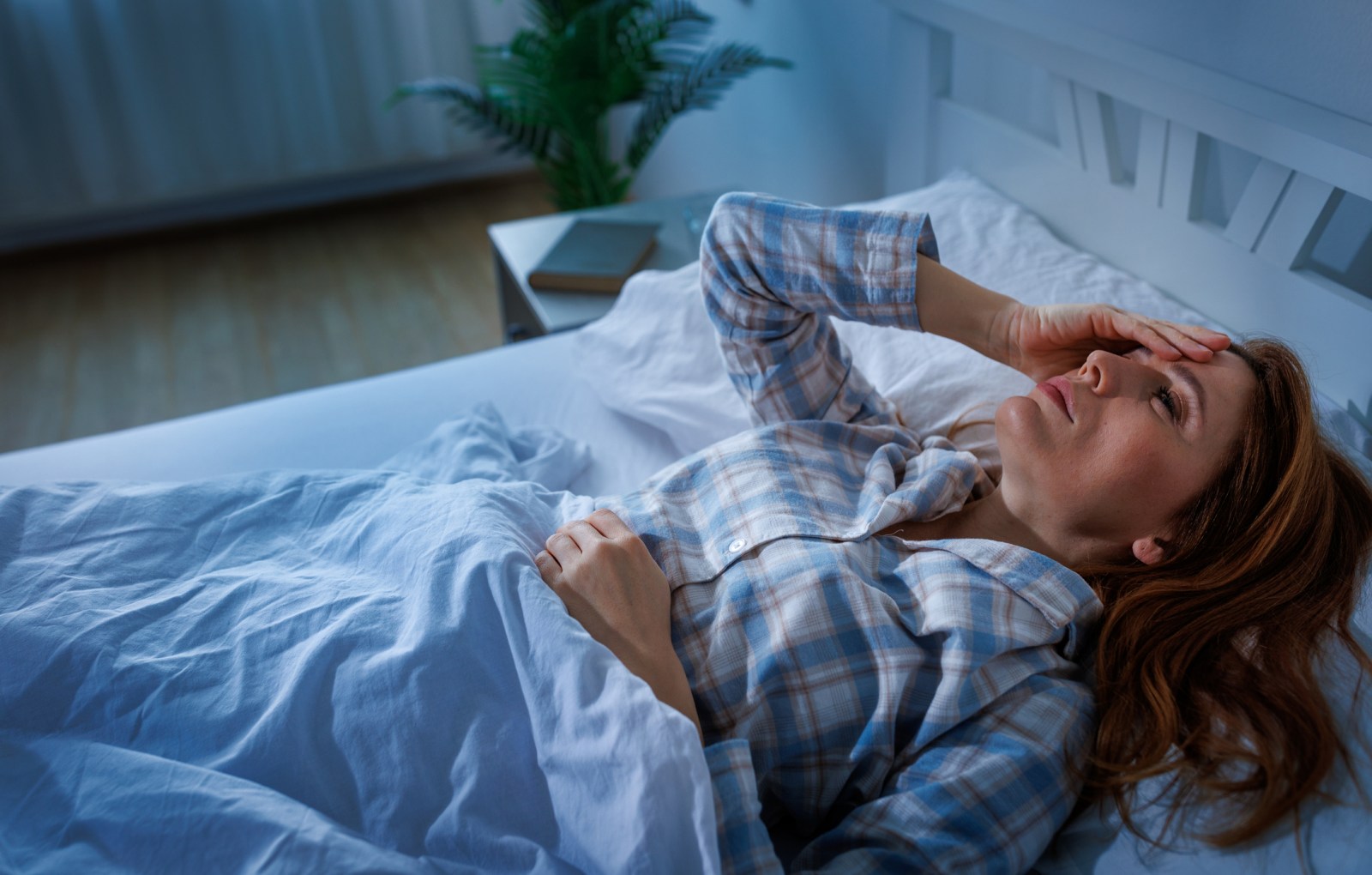 Understanding Sleep: The Role of Safety and Stress