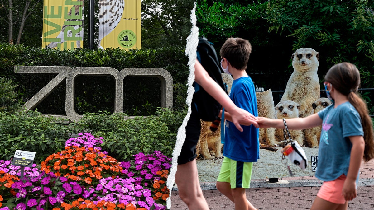 Smithsonian National Zoo Embraces DEI and Climate Change Initiatives