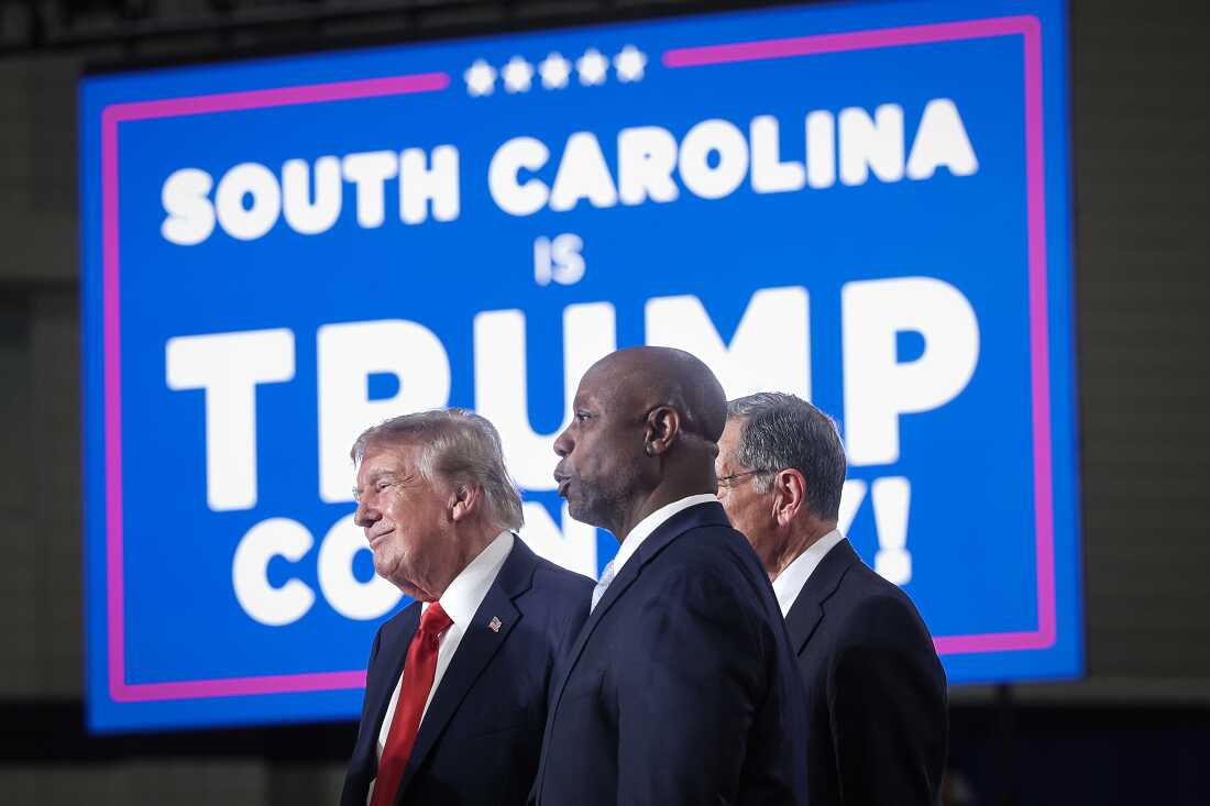Trump’s Influence in South Carolina Senate Runoff