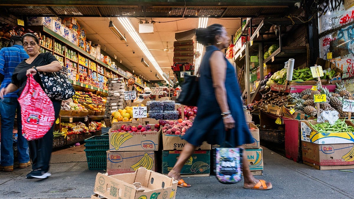 Democrats Focus on Affordability While Republicans Seek a Cohesive Story: The Midterm Elections