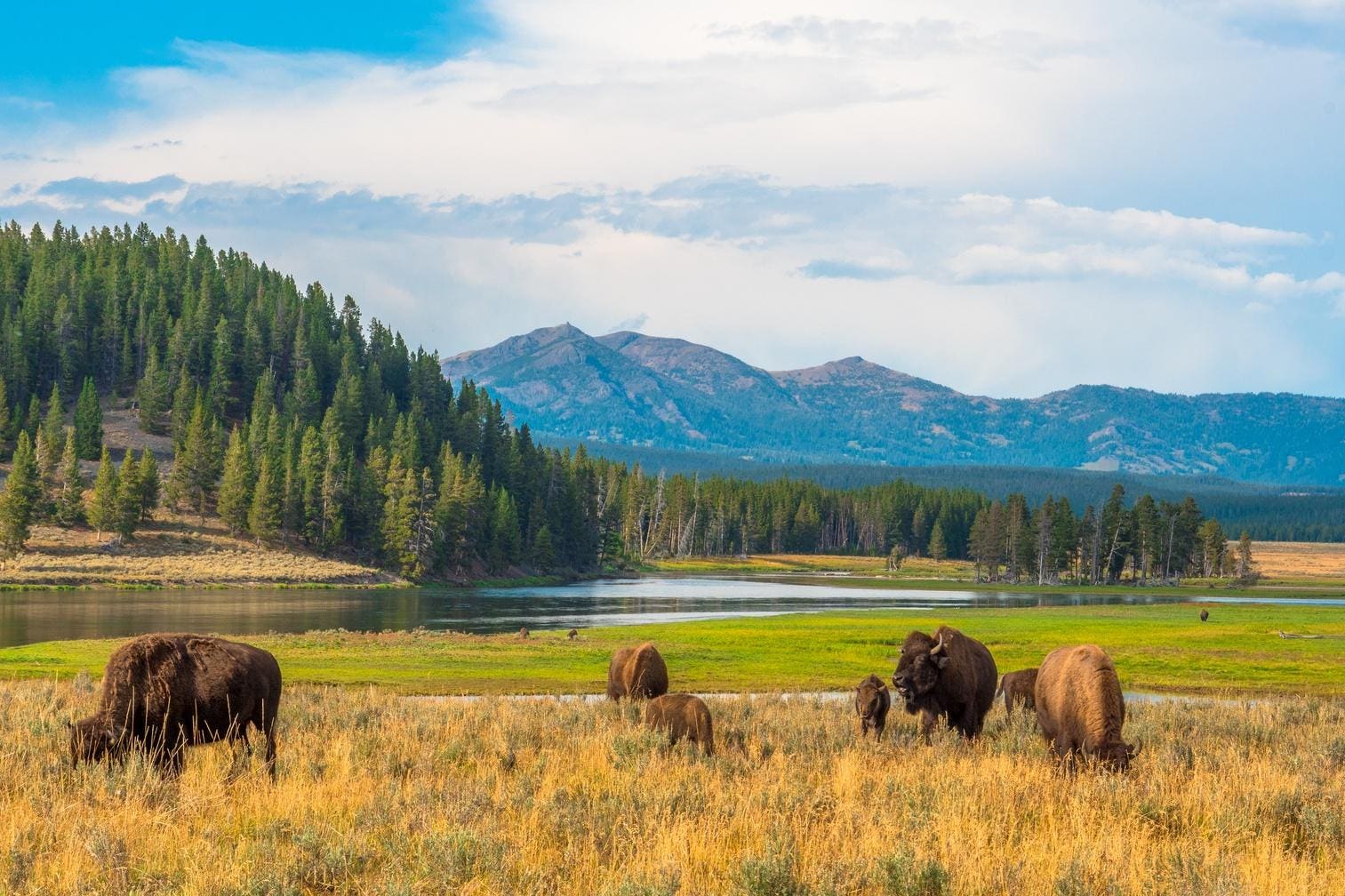 Tourist Pitfalls in National Parks: Avoid Turning Into a ‘Touron’
