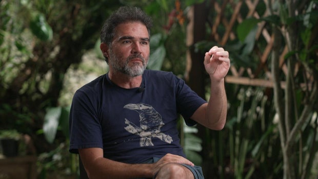 Birding in Colombia’s Tatamá National Park: A Journey into Ecotourism