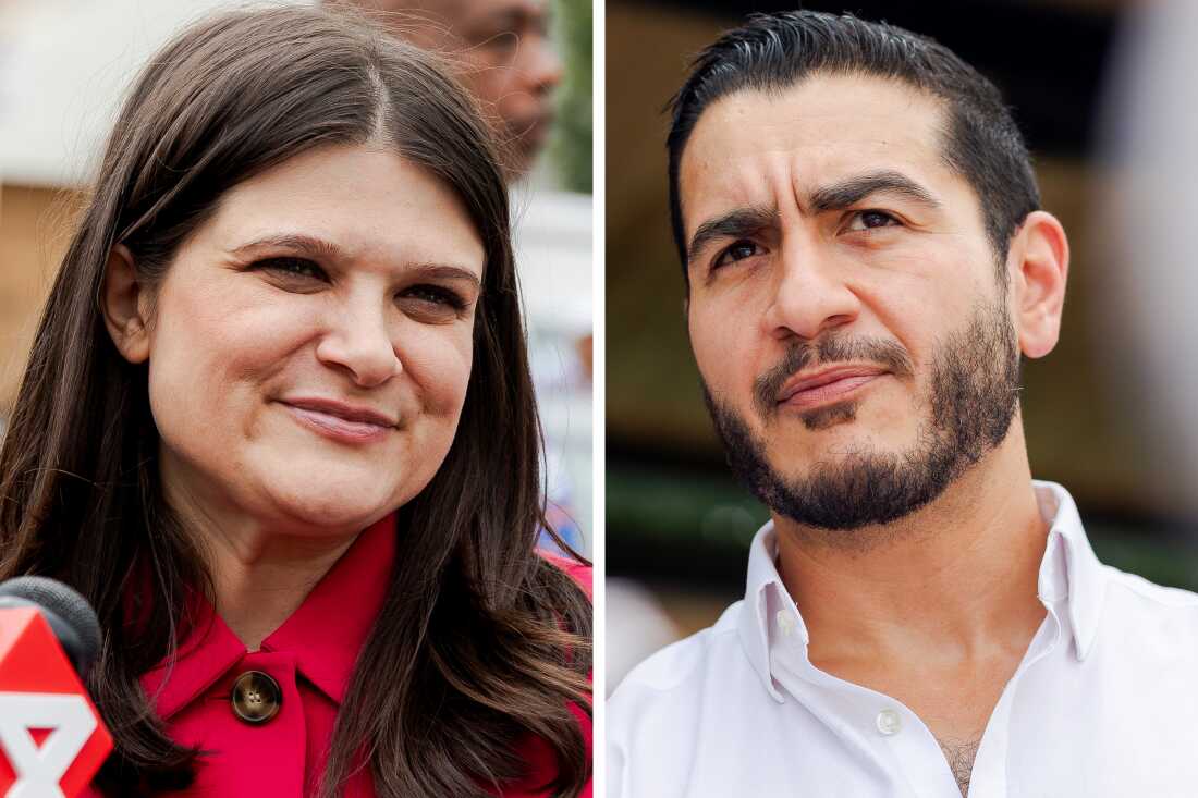 Michigan’s Democratic Senate Race: Stevens vs. El-Sayed