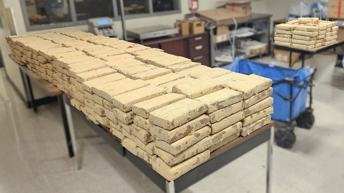 Large Drug Busts and Tunnel Discovery in San Diego