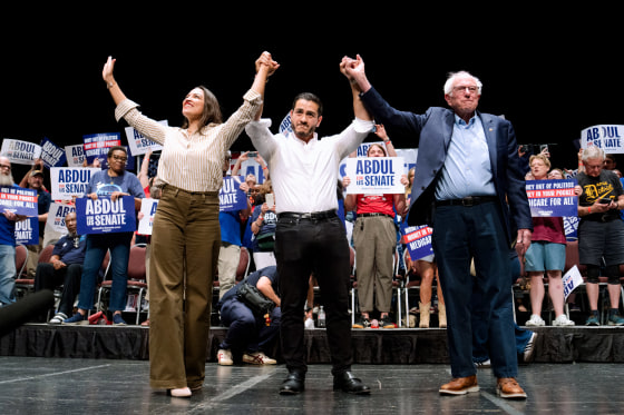 Michigan and Minnesota Senate Primaries: A Glimpse into the Democrats’ Future