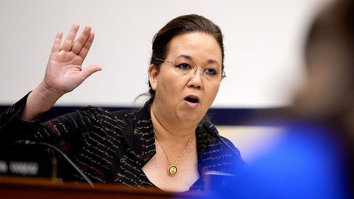 Progressive Candidate Jill Tokuda Wins Primary, Faces GOP Challenger in Hawaii Election