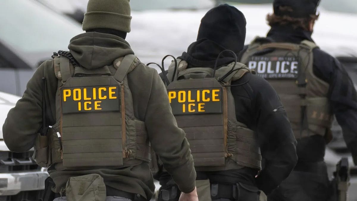 Federal Judge Blocks New York Law Targeting ICE Agents