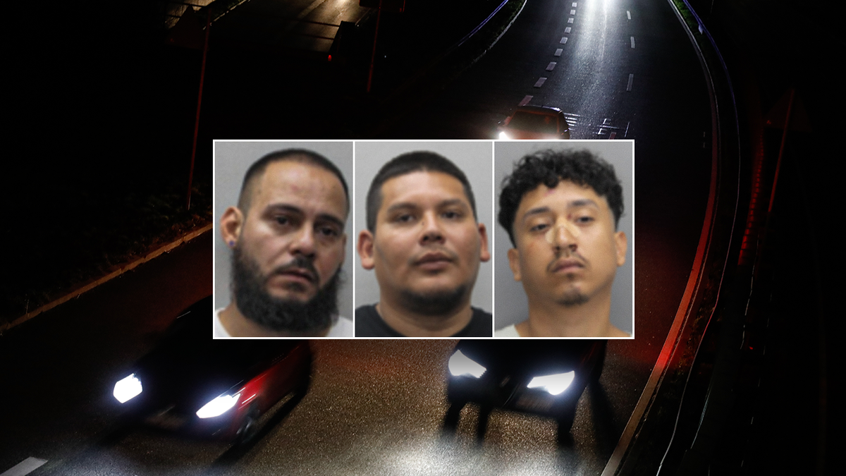 Virginia Child Exploitation Sting Reveals Illegal Aliens with Criminal Histories