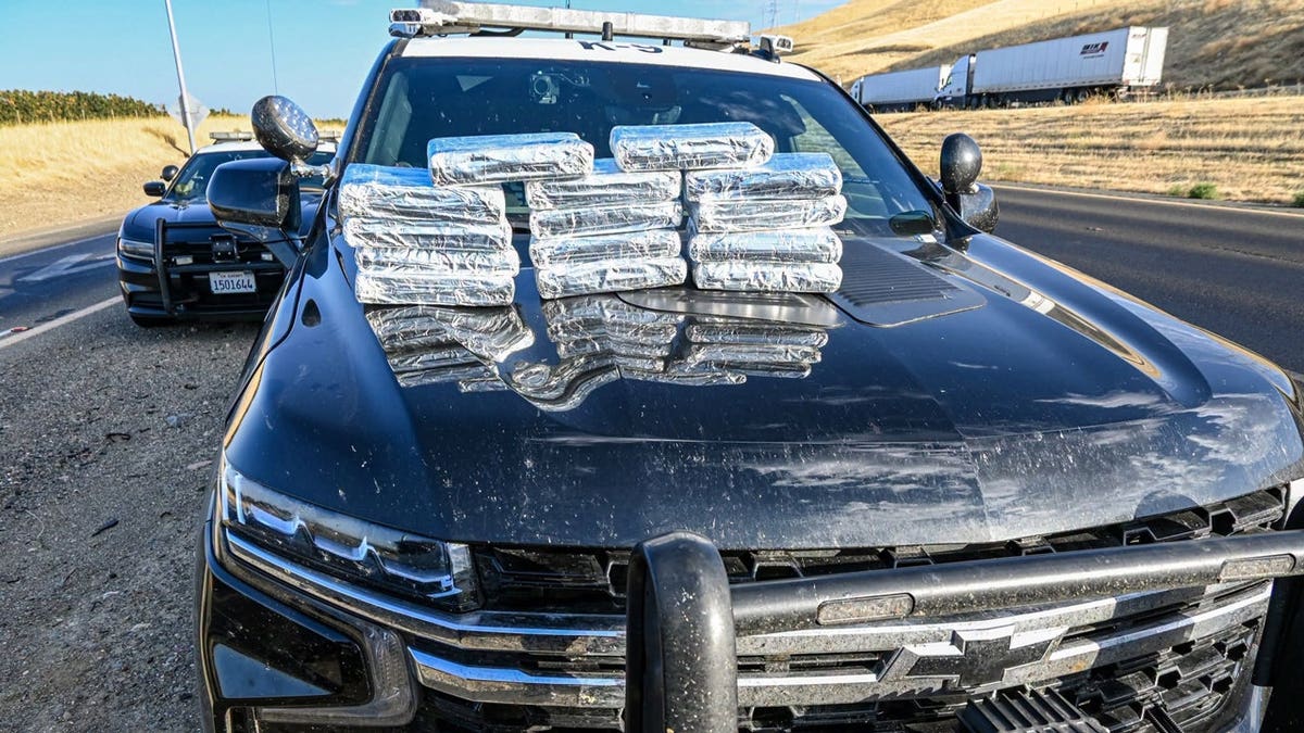 Seizure of Cocaine Worth $800,000 During Traffic Stop in California