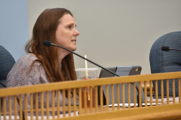 Park Ridge City Council Approves Mural Program for Public Buildings