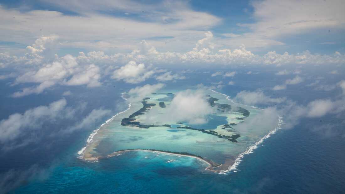 Exploring the Palmyra Atoll: A Remote Pacific Ecosystem at Risk