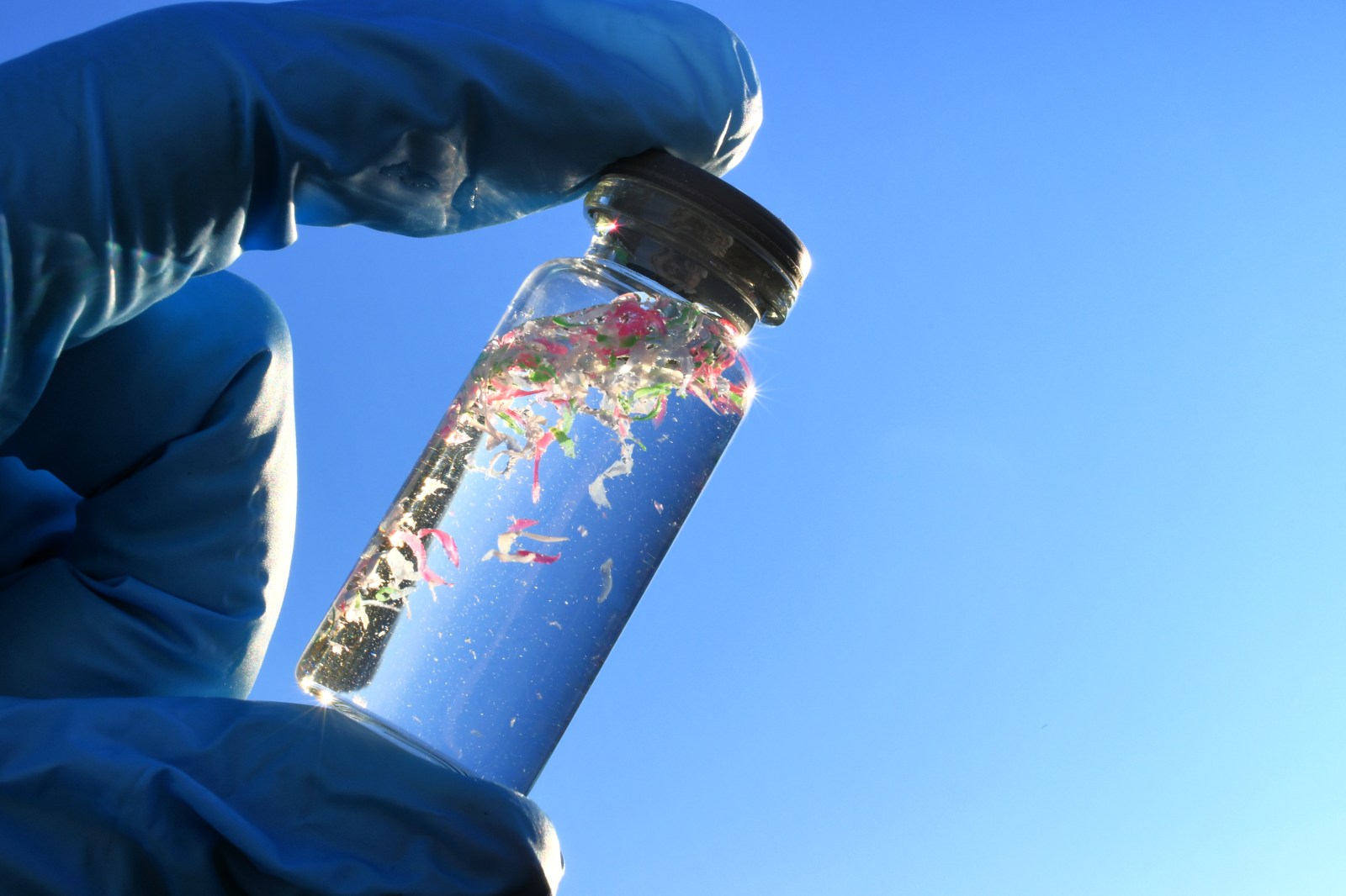 Polyethylene in Food Packaging Linked to Liver Disease