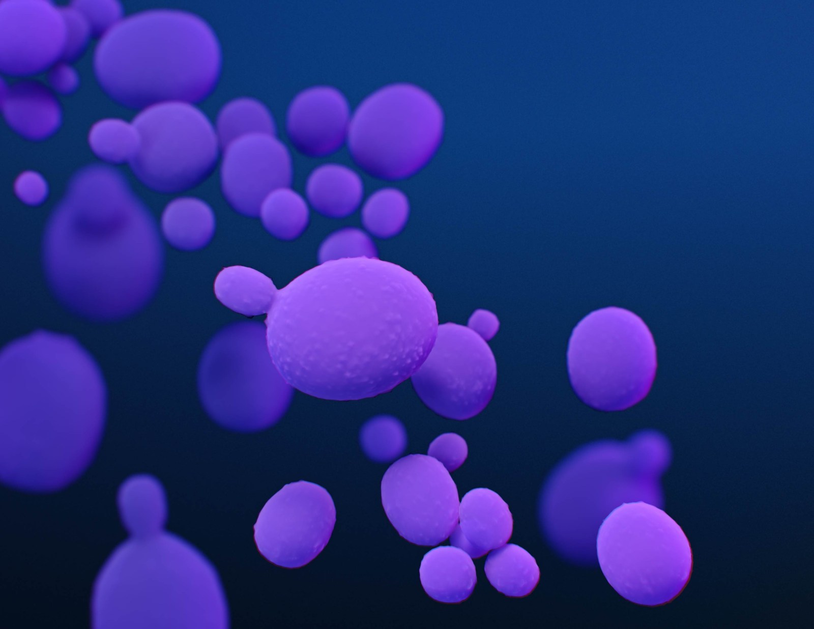 Drug-Resistant Candida Auris Spreads Across U.S.