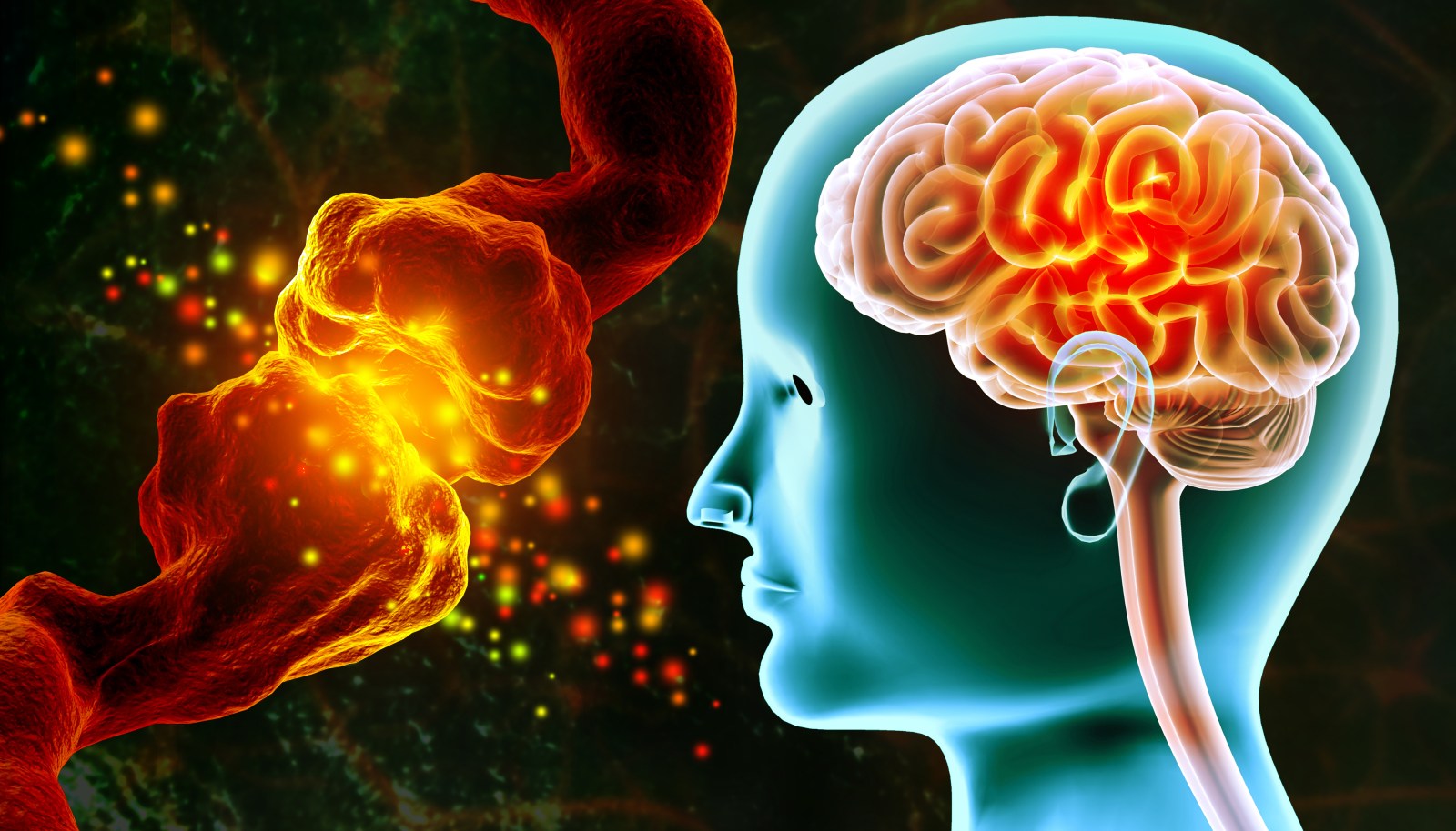 Brain Age as a Potential Dementia Predictor