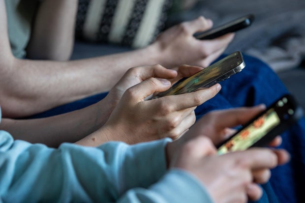 France’s Constitutional Council Rejects Ban on Social Media for Under-15s
