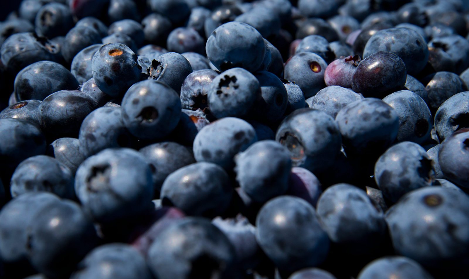 FDA Issues High-Risk Warning on Recalled Berry Products