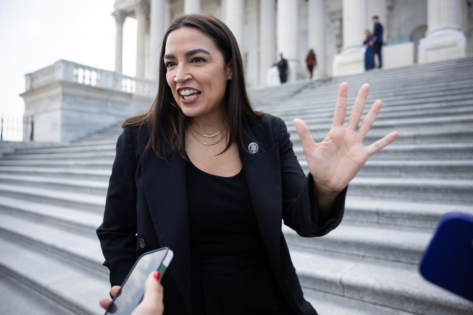 Democratic Party Faces Call for Change Amidst Low Favorability for Key Progressive