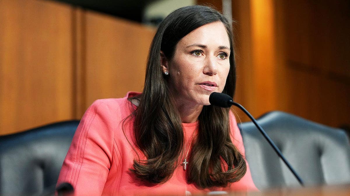 Senate Republicans Aim to Close Immigration Loophole