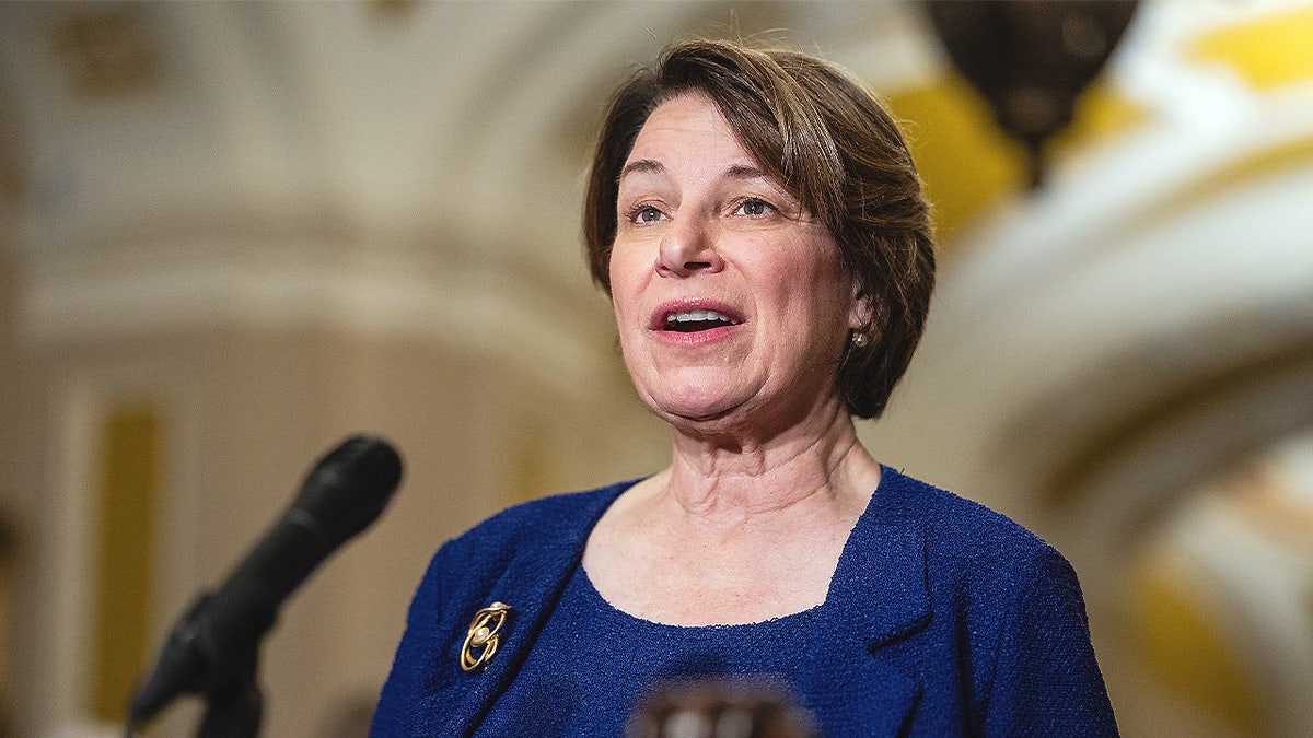 Minnesota Gubernatorial Race Heated by Fraud Scandal