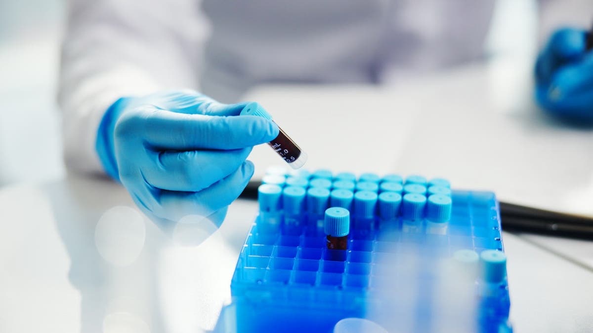 DNA Testing Could Predict Blood Cancer Progression
