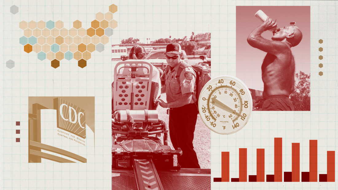 Understanding Heat-Related Deaths in the U.S.