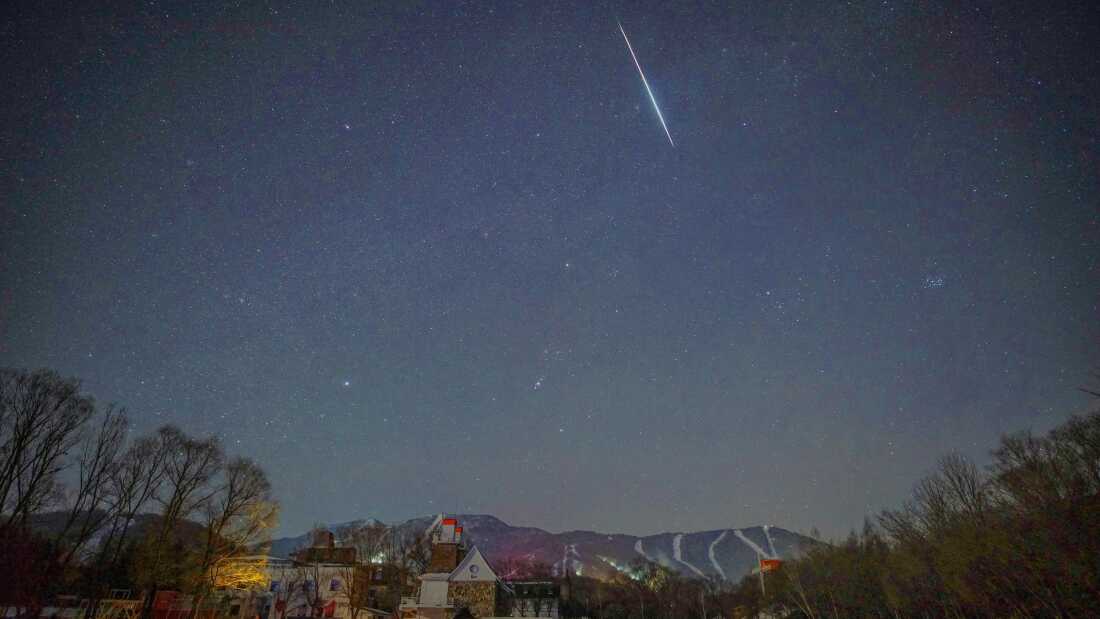 Exploring the Perseid Meteor Shower with Regina G. Barber