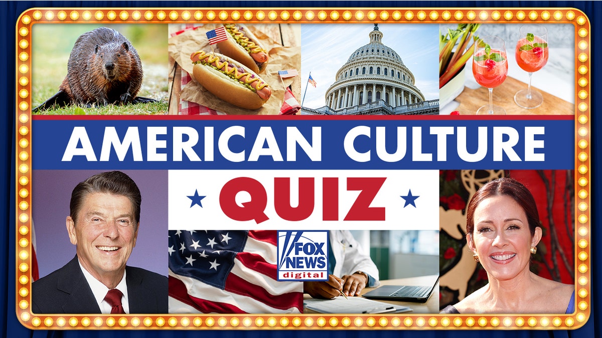 Engage with American Culture Through Quizzes