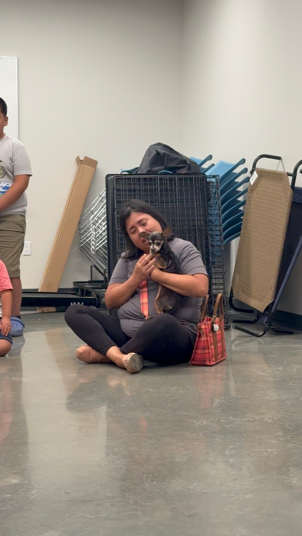 Chihuahua Returns Home After 12-Year Absence